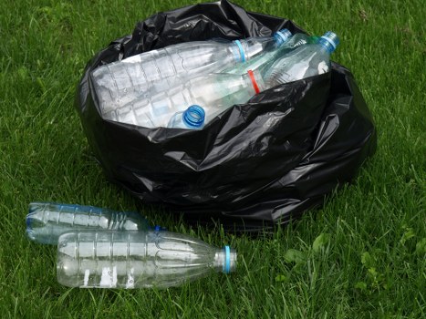 Professional waste removal team at work